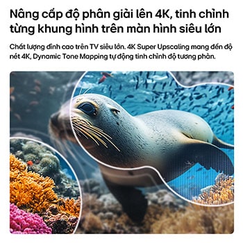 LG NANO 4K UHD AI NU80 with 4K Super Upscaling and Dynamic Tone Mapping shows an underwater scene of a sea lion, as AI recognizes and upscales each frame up to 4K resolution.